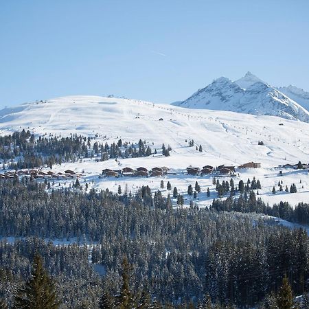 Apartment Bacher Wald im Pinzgau Εξωτερικό φωτογραφία