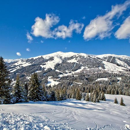 Apartment Bacher Wald im Pinzgau Εξωτερικό φωτογραφία